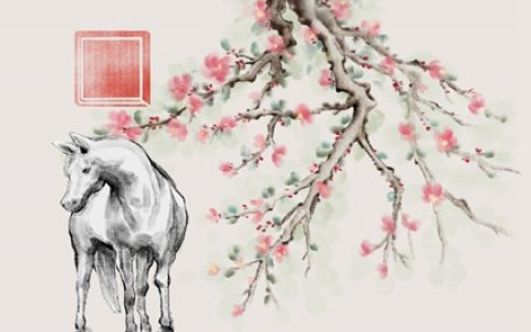 窮其一生碌碌無為的生肖 屬豬屬牛屬兔
