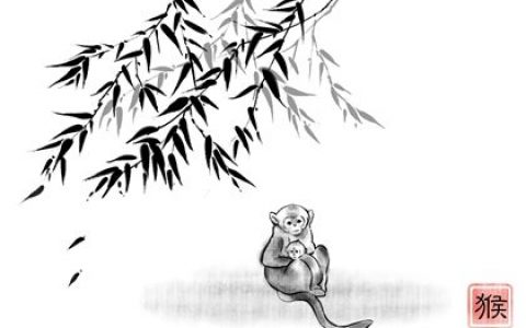 女猴和男兔嗎無法追到老嗎 能在一同嗎（女兔與男猴能結婚嗎好嗎）