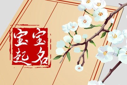 從周易角度出發(fā)，為屬兔男孩起一個前程似錦大富大貴的名字